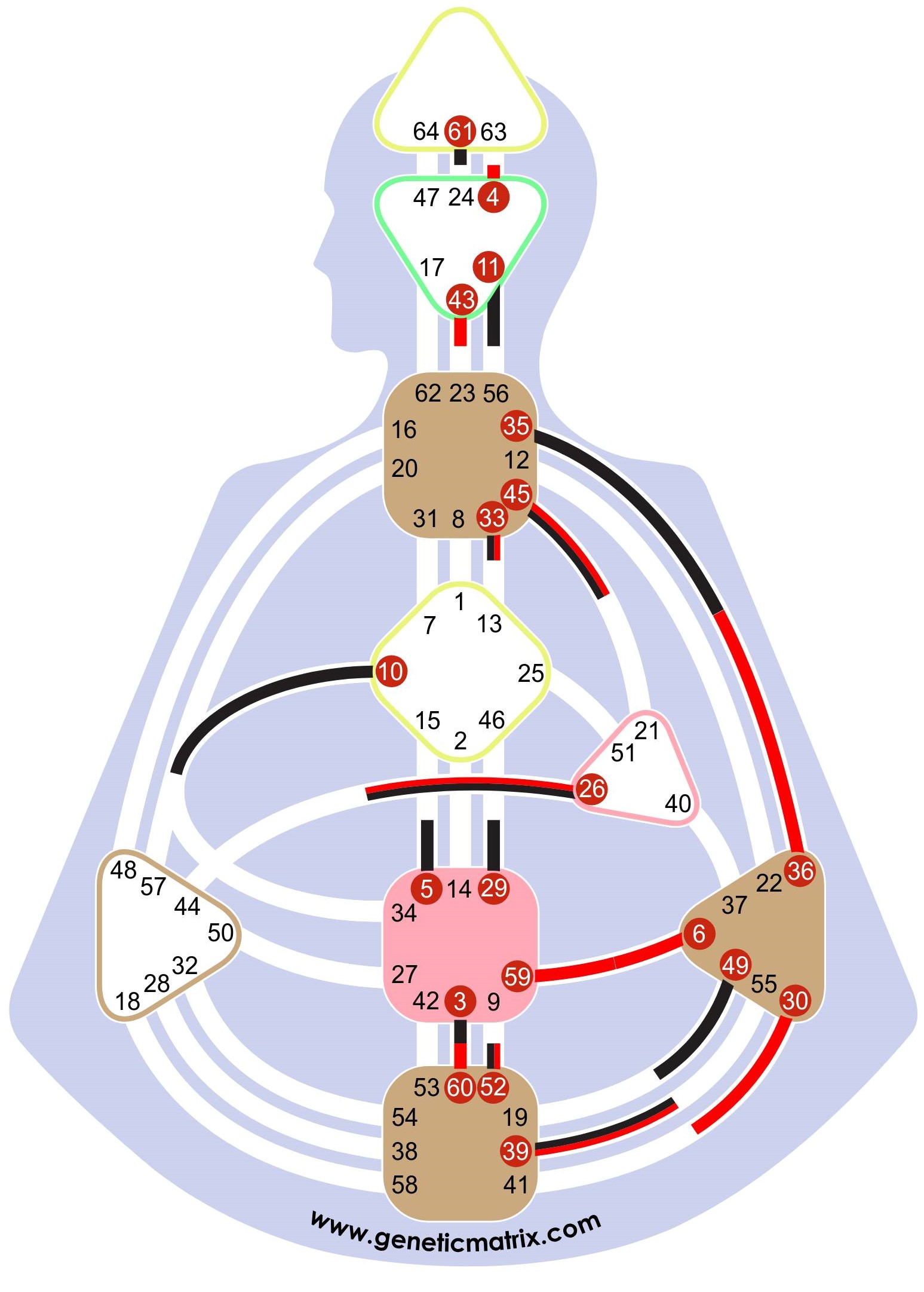 Manifestujący Generator ze zdefiniowanym Centrum Sakralnym i z silnikiem podłączonym do Centrum Gardła